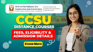 CCSU Distance Courses